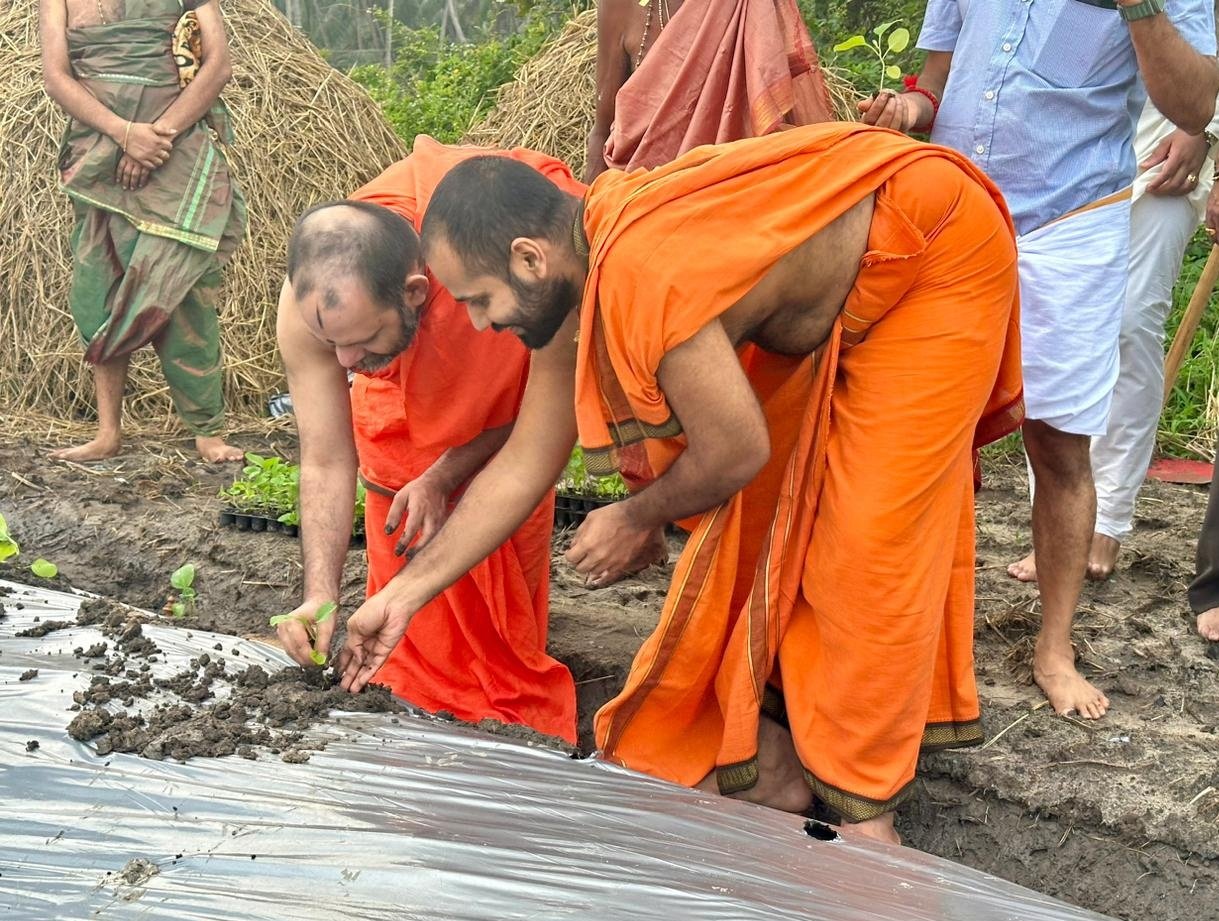 ಮಟ್ಟು ಗುಳ್ಳ ಬೆಳೆಗೆ ಸೋದೆ,ಕಾಣಿಯೂರು ಮಠದ ಶ್ರೀಗಳಿಂದ ಚಾಲನೆ.